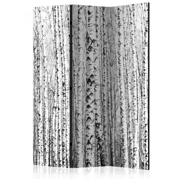 Paraván Birch forest Dekorhome 135x172 cm (3-dílný),Paraván Birch forest Dekorhome 135x172 cm (3-díl