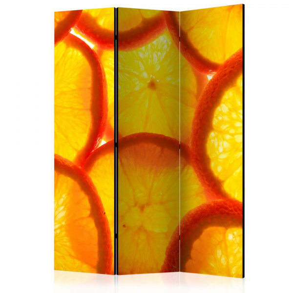 Paraván Orange slices Dekorhome 135x172 cm (3-dílný),Paraván Orange slices Dekorhome 135x172 cm (3-d