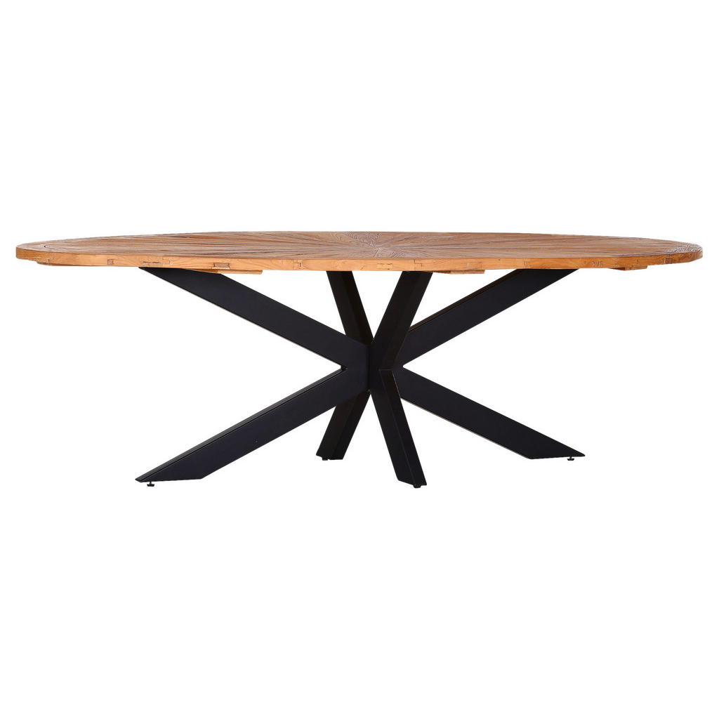 Ambia Home JÍDELNÍ STŮL, jilm, černá, barvy jilmu, 254/135/78 cm