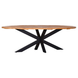 Ambia Home JÍDELNÍ STŮL, jilm, černá, barvy jilmu, 254/135/78 cm