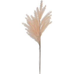 Ambia Home UMĚLÁ KVĚTINA pampová tráva 110 cm
