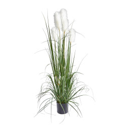 Ambia Home UMĚLÁ ROSTLINA 150 cm