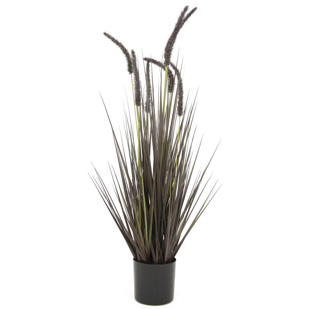 Ambia Home UMĚLÁ ROSTLINA