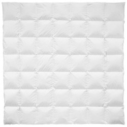 Billerbeck CELOROČNÍ PŘIKRÝVKA, 200/200 cm, prachové peří