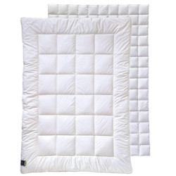 Billerbeck PŘIKRÝVKA PRO 4 ROČNÍ OBDOBÍ, 135/200 cm, duté vlákno