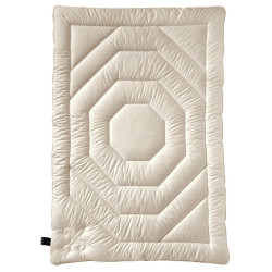 Billerbeck ZIMNÍ PŘIKRÝVKA, 135-140/200 cm, polyester