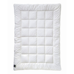 Billerbeck ZIMNÍ PŘIKRÝVKA, 155/220 cm, polyester