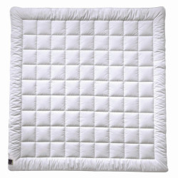 Billerbeck ZIMNÍ PŘIKRÝVKA, 200/200 cm, polyester