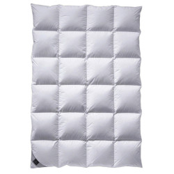 Billerbeck ZIMNÍ PŘIKRÝVKA, prachové peří