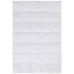 Boxxx CELOROČNÍ PŘIKRÝVKA, 135/200 cm, peří, prachové peří