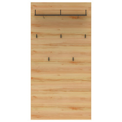 Cantus ŠATNÍ PANEL, černá, barvy buku, 80/158/28 cm