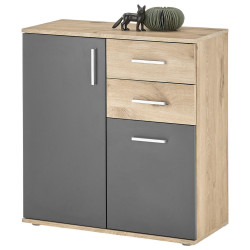 Carryhome KOMODA, šedá, barvy dubu, 80/84/35 cm