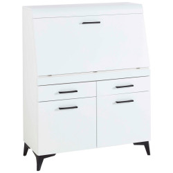 Carryhome SEKRETÁŘ, 98/124/42 cm
