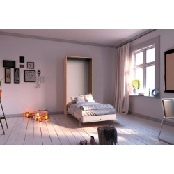 Carryhome SKLÁPĚCÍ POSTEL (SKŘÍŇ) 90/200 cm