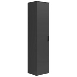Carryhome VÍCEÚČELOVÁ SKŘÍŇ, barvy grafitu, 45/195/40 cm