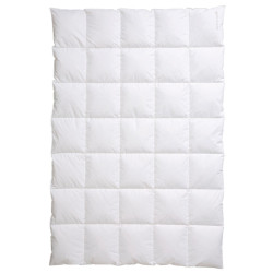 Centa-Star CELOROČNÍ PŘIKRÝVKA, 155/220 cm, peří, prachové peří