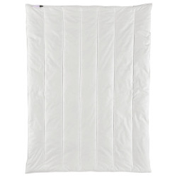 Centa-Star CELOROČNÍ PŘIKRÝVKA, 155/220 cm, polyester