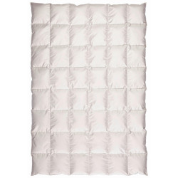 Centa-Star CELOROČNÍ PŘIKRÝVKA, 155/220 cm, prachové peří