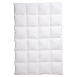 Centa-Star ZIMNÍ PŘIKRÝVKA, 155/220 cm, peří, prachové peří