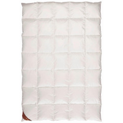 Centa-Star ZIMNÍ PŘIKRÝVKA, 155/220 cm, prachové peří