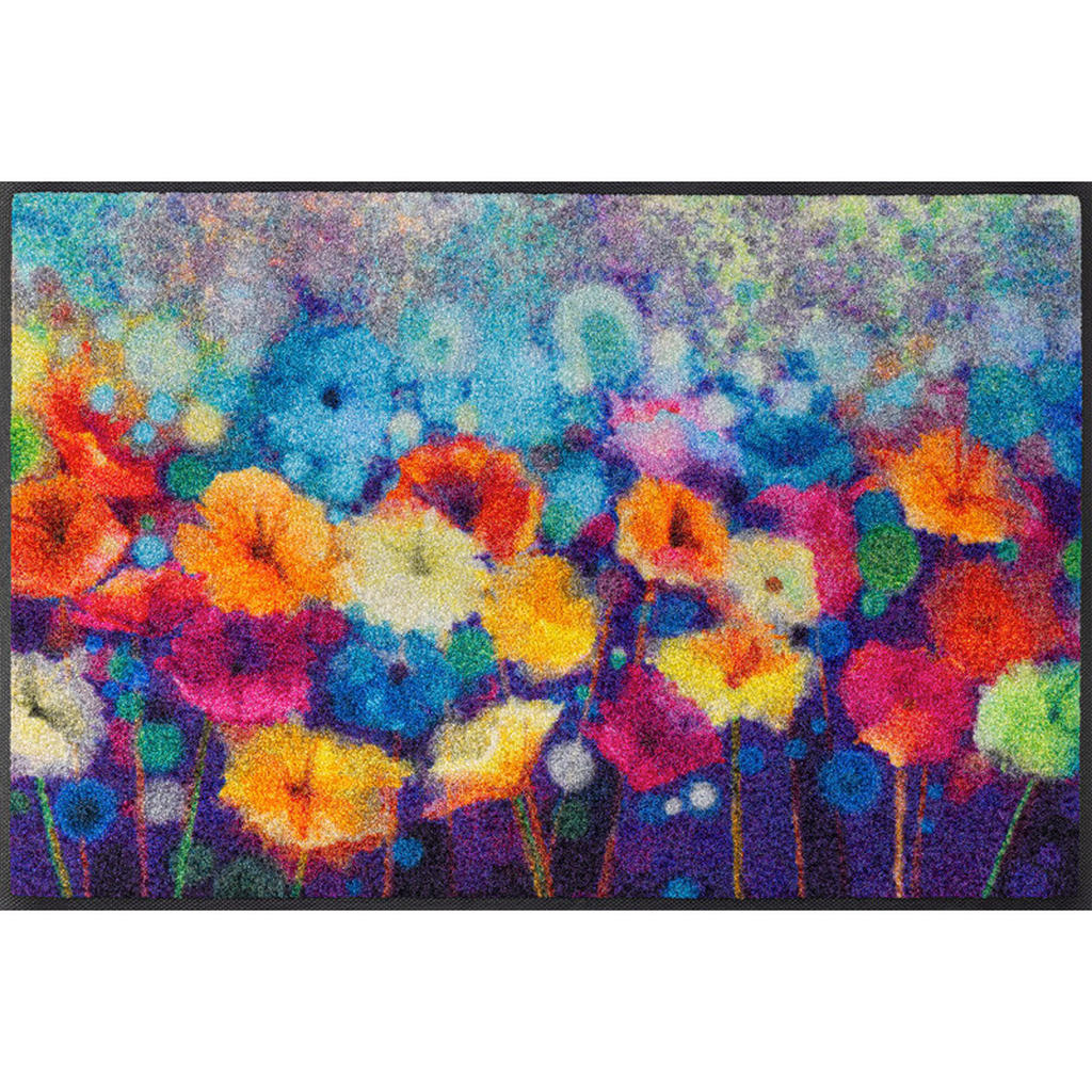 Esposa DVEŘNÍ ROHOŽKA, 50/75 cm vícebarevná