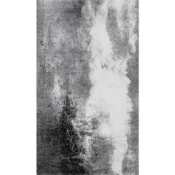 Esposa DVEŘNÍ ROHOŽKA, 70/120 cm šedá