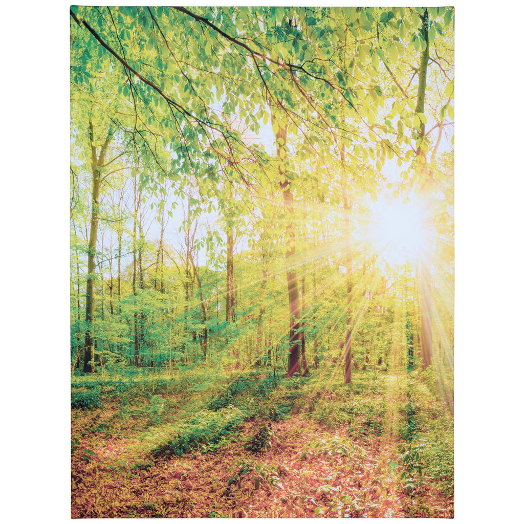 Euroart MALBA NA PLÁTNĚ, krajina a příroda, 60/80 cm