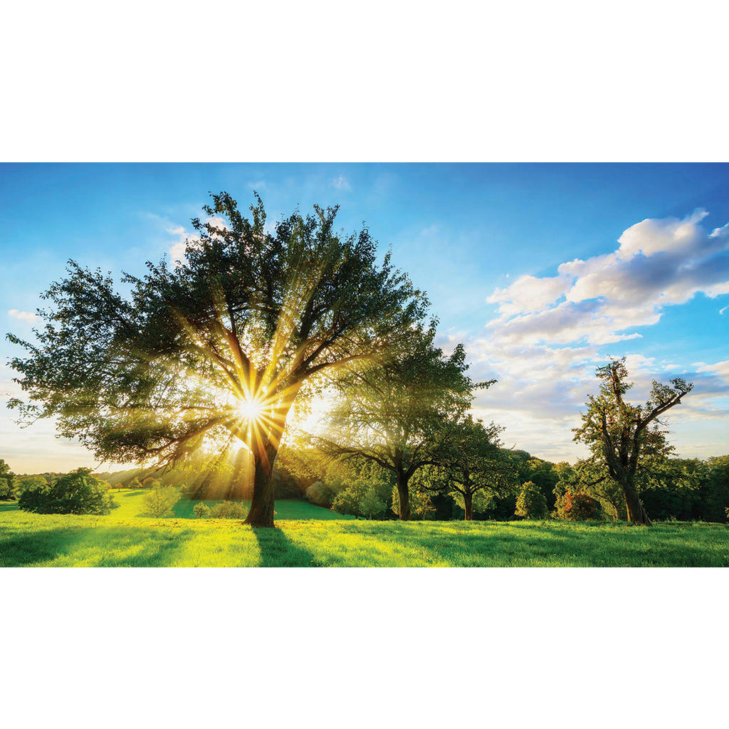 Euroart MALBA NA PLÁTNĚ, krajina a příroda, 180/100 cm