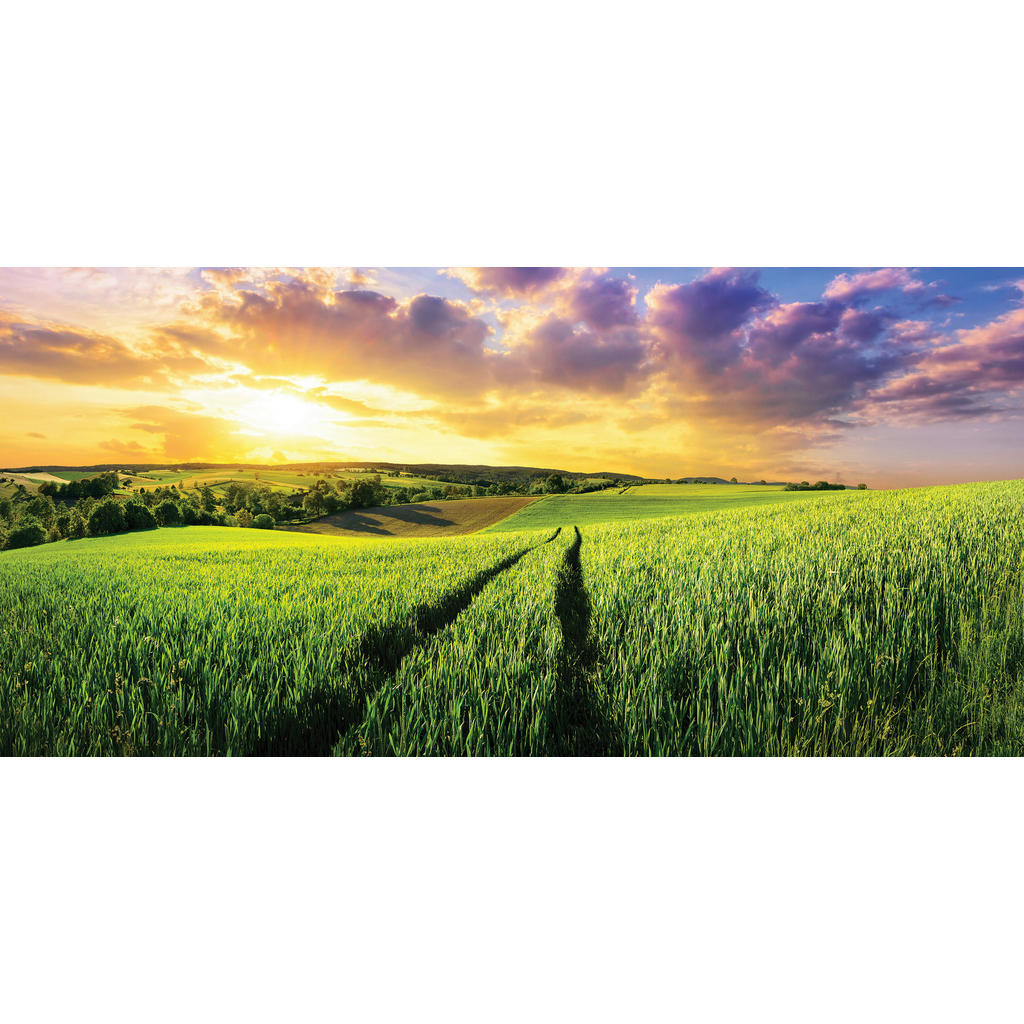 Euroart OBRAZ NA PLÁTNĚ, krajina a příroda, 115/55 cm