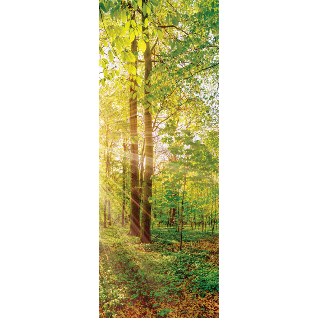 Euroart OBRAZ NA PLÁTNĚ, krajina a příroda, 30/80/3 cm