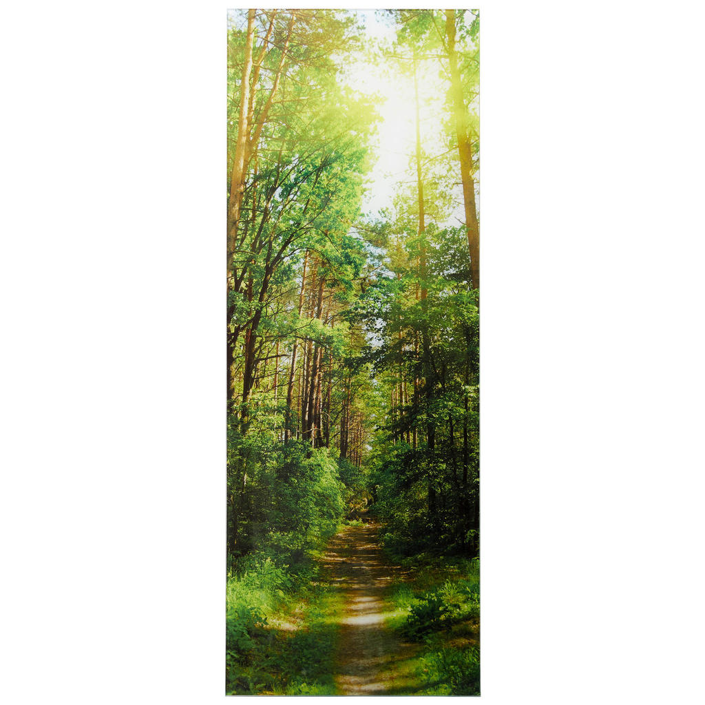 Euroart OBRAZ NA SKLE, krajina a příroda, 30/80/1,40 cm