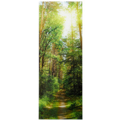 Euroart OBRAZ NA SKLE, krajina a příroda, 30/80/1,40 cm