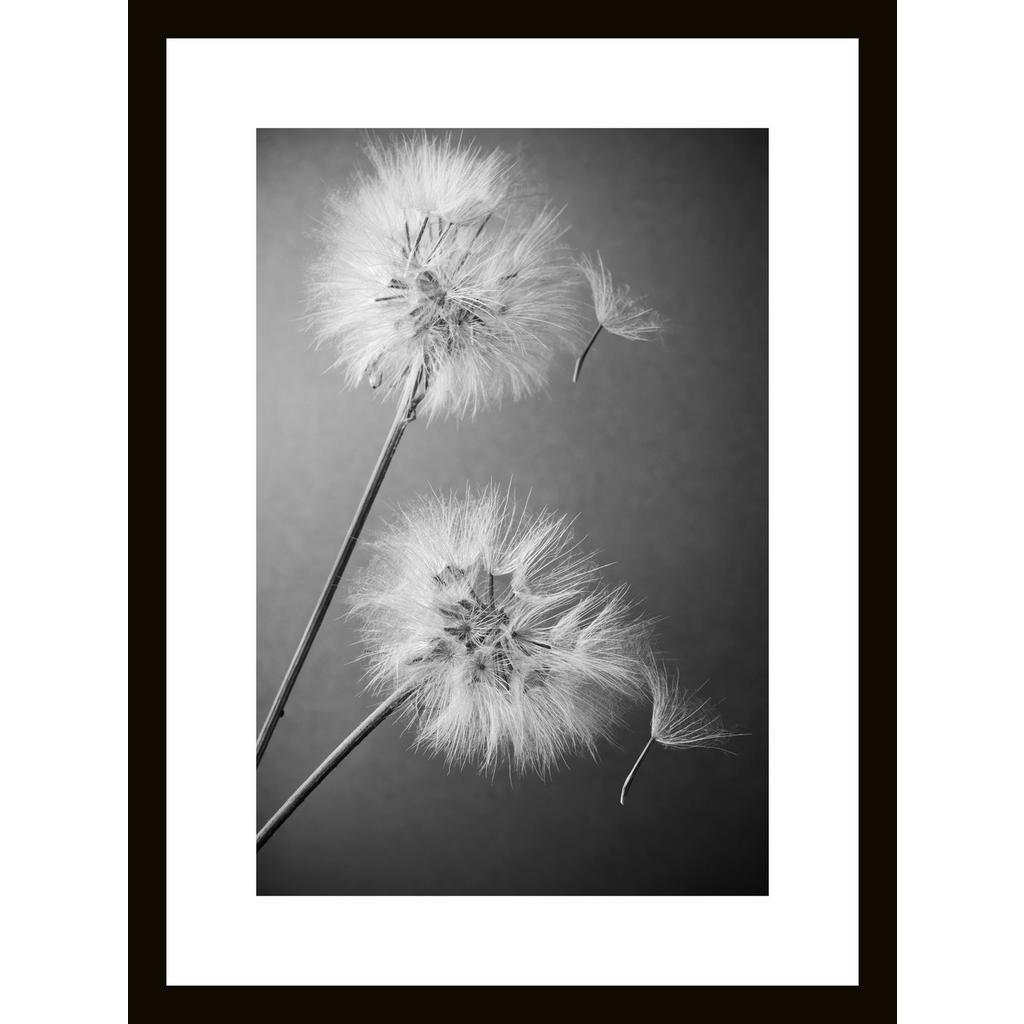 Euroart OBRAZ NA SKLE, květiny, 30/40/1,40 cm