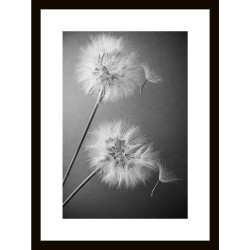 Euroart OBRAZ NA SKLE, květiny, 30/40/1,40 cm