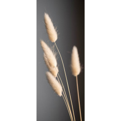 Euroart OBRAZ NA SKLE, rostliny, 30/80/1,40 cm