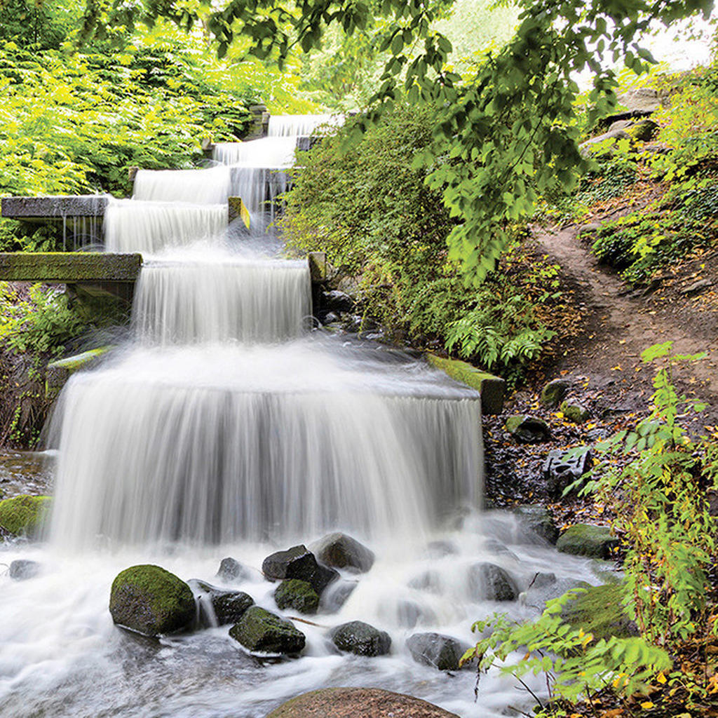 Euroart OBRAZ NA SKLE, krajina a příroda, 30/30/1,40 cm