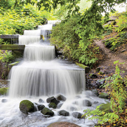 Euroart OBRAZ NA SKLE, krajina a příroda, 30/30/1,40 cm