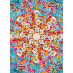 FOTOTAPETA velikost: 184/254 cm