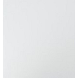 Hom`in DVEŘE, vysoce lesklá bílá, 45/44/1,6 cm