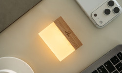 Lampička CuraCheese, více variant - Gingko Varianta: jasan