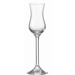 Leonardo SKLENICE NA DIGESTIV