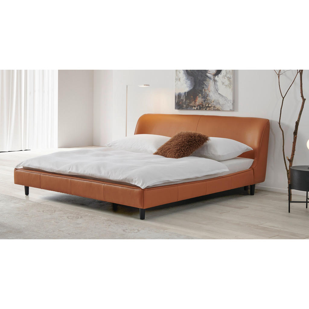 Livetastic ČALOUNĚNÁ POSTEL, 180/200 cm, hnědá