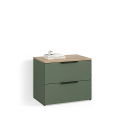Livinity® KREDENC Piave Zelená 60 x 50 cm se 2 zásuvkami