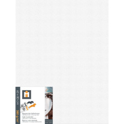 MALÍŘSKÉ PLÁTNO, 60/80/1,7 cm