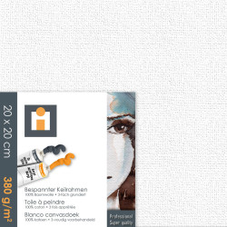 MALÍŘSKÉ PLÁTNO, 20/20/1,7 cm