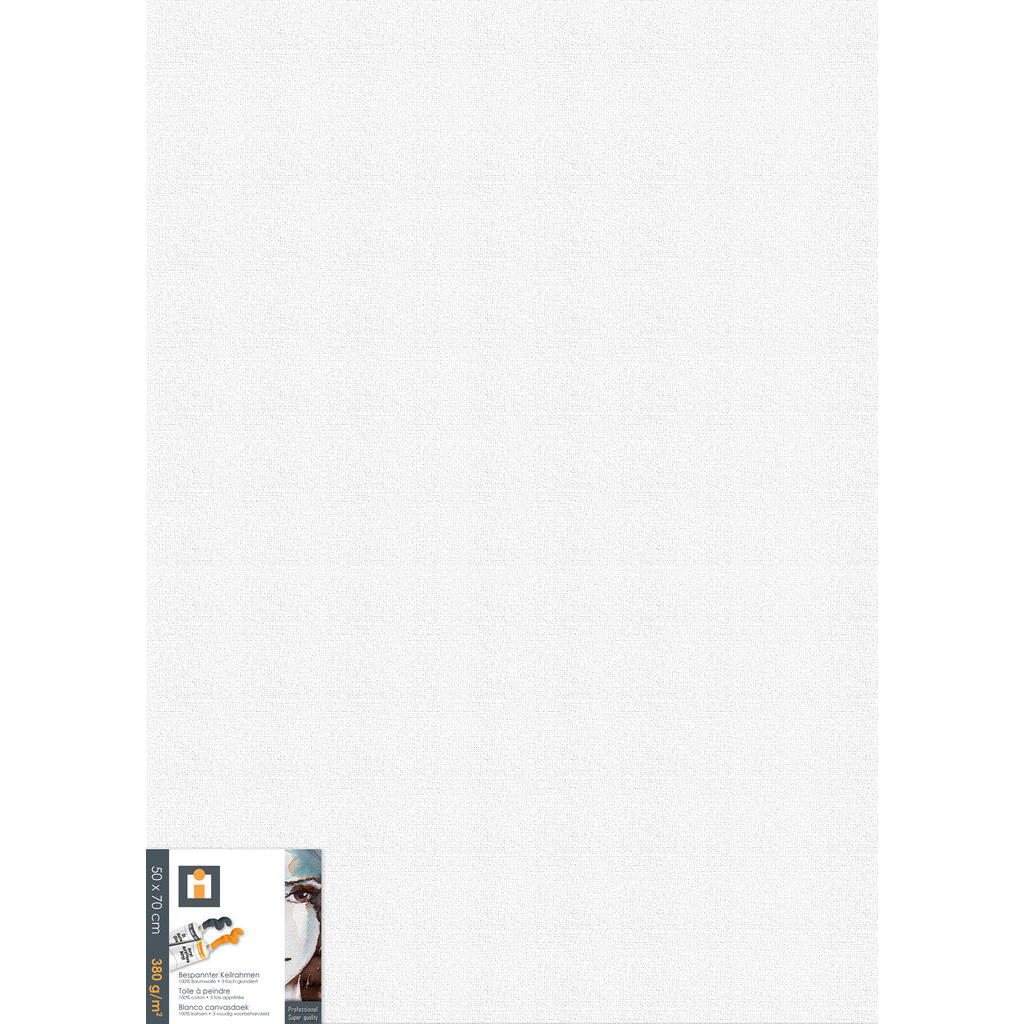 MALÍŘSKÉ PLÁTNO,