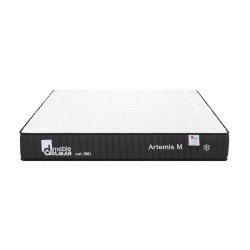 Matrace Artemis M - nosnost 150 kg Rozměr: 180 x 200 cm