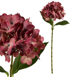 Mondex UMĚLÁ KVĚTINA, plast, wine red