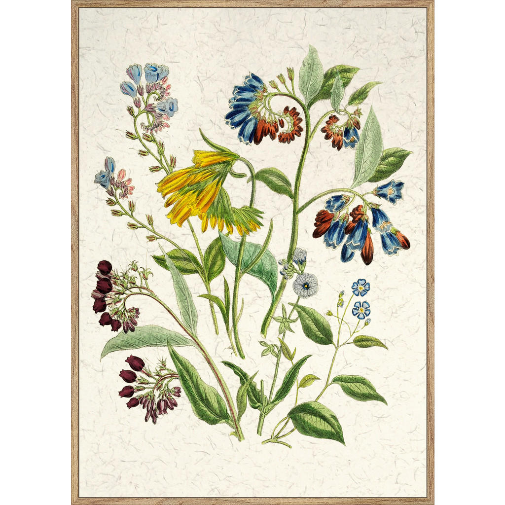 Monee TIŠTĚNÉ OBRAZY NA PLÁTNĚ, květiny, 51,2/71,2 cm