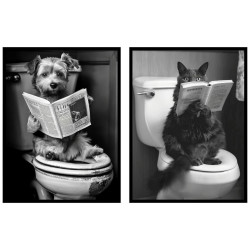 Monee TIŠTĚNÉ OBRAZY NA PLÁTNĚ, zvířata, 30/40 cm